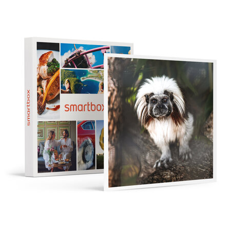 SMARTBOX - Coffret Cadeau Tanière Zoo Refuge : immersion avec les herbivores pour 2 personnes -  Multi-thèmes