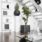 Capi Jardinière Urban Smooth carré 40x40x40 cm noir KBL903