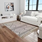 Tapis de salon ASNI 160 x 230 cm - Gris