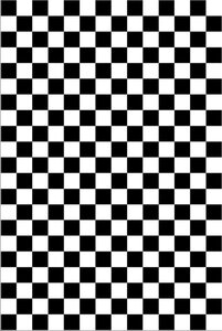 Tapis d'intérieur DAMIER 80 x 150 cm - Noir