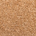 vidaXL Tapis d'escalier 15 Pièces 65x21x4 cm Beige