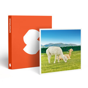 SMARTBOX - Coffret Cadeau Découverte des animaux - Multi-thèmes