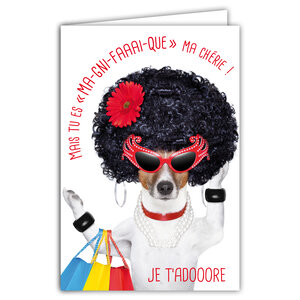 Carte pour Fille Femme Magnifique à la Mode Reine du Shopping Message Humoristique avec Enveloppe Illustrée format 17 5x12cm Chien Drôle Amusant Rigolo Déguisé Création Fabrication française 69-6218