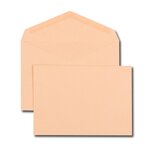 Boîte de 500 enveloppes recyclé vélin bulle C5 162x229 75 g/m² gommées GPV