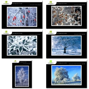 Lot de 6 cartes postales - hiver 2 - photos frédéric engel