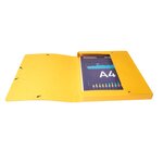 Boite De Classement Exabox Dos 25mm Carte Lustrée - A4 - Couleurs Assorties - X 8 - Exacompta