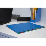 Trieur Extensible Harmonika Sans Élastique Fenêtres Imprimées 12 Compartiments - A4 - Bleu - X 6 - Exacompta