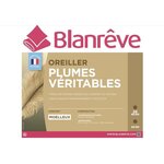 2 oreillers plumes 60 x 60 cm