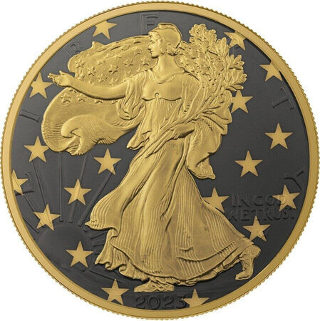 Pièce de monnaie en argent 1 dollar g 31.1 (1 oz) millésime 2023 american eagle