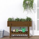 vidaXL Lit surélevé de jardin marron miel 101x30x69 cm bois pin massif