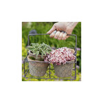 4 pots dans panier métal