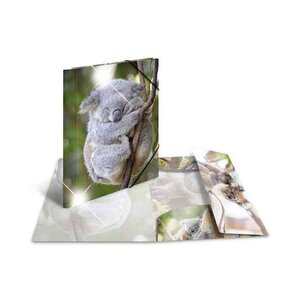 Chemise à élastiques 'koala', PP Glossy, A4 HERMA