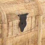 vidaXL Coffres de rangement 2 Pièces Bois de manguier massif