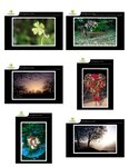 Lot de 6 cartes postales - voeux 3 - photos frédéric engel