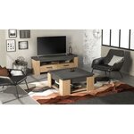 Meuble TV AUSTIN - Taille écran max 55' (140 cm) - chêne Hamilton et Sidewalk - 140 x 42 x 47 cm