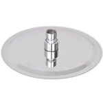 vidaXL Pomme de douche plongeante 2 Pièces Acier inoxydable Ø 20 cm