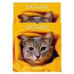 Grand Calendrier Mural 29x29  cm - 2025 - Chats 2025 - Draeger