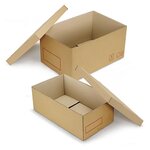 Caisse carton brune double cannelure raja 50x40x35 cm (lot de 10)