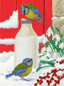 Kit carte broderie diamant 21x29cm Oiseaux sur la neige