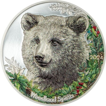 Pièce de monnaie en Argent 500 Togrog g 31.1 (1 oz) Millésime 2024 Woodland Spirit BEAR