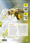 Collector 4 timbres - A la rencontre... de l'Abeille - Lettre Verte
