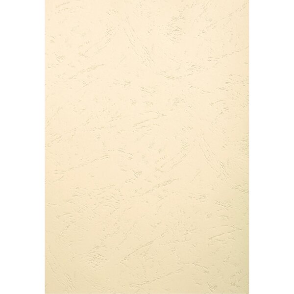 Paquet De 100 Couvertures Grain Cuir Pour Reliure A3 - Ivoire - Papeteries De Clairefontaine