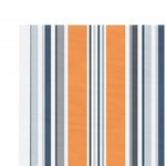 vidaXL Tissu de remplacement pour auvent rayures multicolores 3 5x2 5m