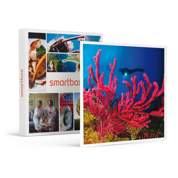 SMARTBOX - Coffret Cadeau Baptême de plongée passionnant de 3h en duo au large de Fréjus -  Sport & Aventure