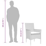 vidaXL Chaises de jardin coussins lot de 2 gris clair résine tressée