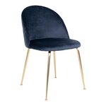 2 chaises de salle à manger en velours bleu avec pieds en laiton