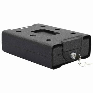 vidaXL Coffre de voiture avec verrouillage Noir 22 x 16 x 7 cm Acier