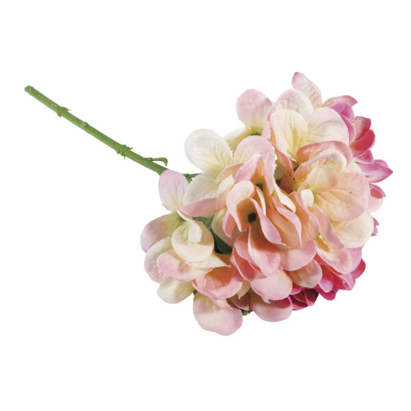 Hortensia Rose oeillet 33cm