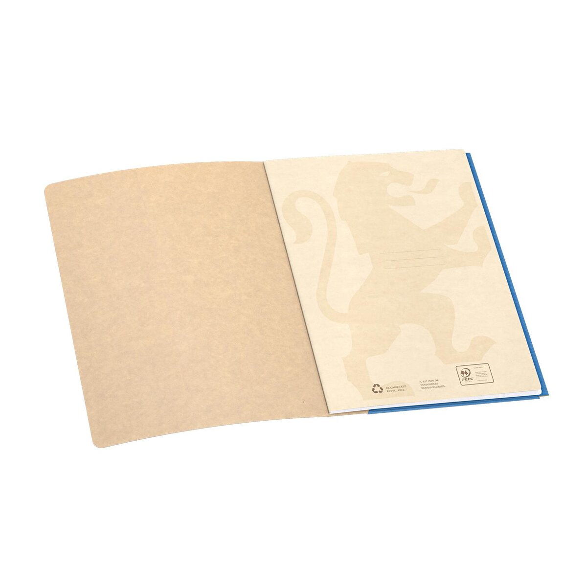 Stock Bureau - OXFORD Cahier piqûre EASYBOOK Pastel 24 x 32 cm 96p 90g grands  carreaux coloris aléatoire