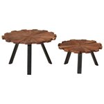 vidaXL Tables basses 2 Pièces bois massif récupéré et fer