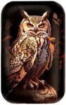 Pièce de monnaie en Argent g 62.2 (2 oz) Millésime 2025 ATHENA OWL