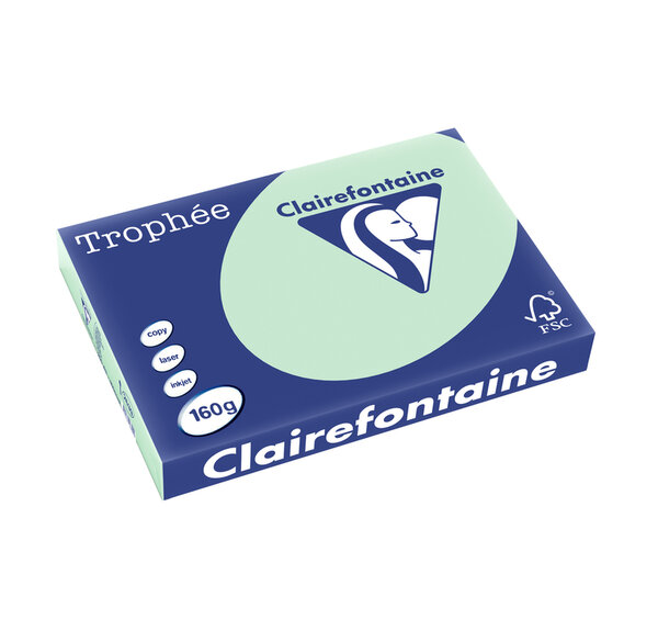 Ramette 250 Feuilles Papier 160g A3 420x297 mm Certifié FSC VERT TROPHÉE