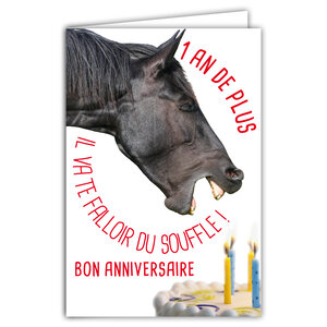 Carte Bon Anniversaire Humoristique 1 an de plus avec Enveloppe Illustrée format 17 5x12cm Cheval Drôle Amusant Rigolo qui souffle des Bougies sur un Gâteau - Création Fabrication française 69-6209
