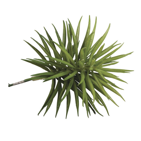 Plante Grasse Succulente Artificielle Senecio 10 x 9 5 cm