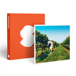 SMARTBOX - Coffret Cadeau À la découverte de nos vignobles - Gastronomie