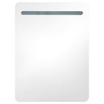 vidaXL Armoire de salle de bain à miroir LED 60x11x80 cm