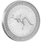 Pièce de monnaie 1 Dollar Australie 2023 1 once argent – Kangourou