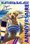 67-1270 Carte ANNIVERSAIRE Chien à la plage Texte en Bleu Brillant et Enveloppe 12x17 5cm  labrador golden retriever à la mer Animal de compagnie en marinière t-short rayé bleu et blanc rames pagayes