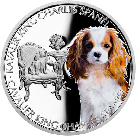 Pièce de monnaie en argent 1 dollar g 31.1 (1 oz) millésime 2023 dog breeds cavalier king charles spaniel