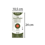 Paquet 100 Fiches Intercalaires Horizontales Unies Perforées Forever - 105x240mm - Orange - X 12 - Exacompta