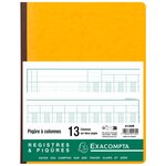 Registre exacompta 4130 piqûre 13 colonnes