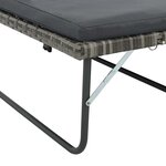 vidaXL Salon de jardin 2 Pièces avec coussins Résine tressée Gris