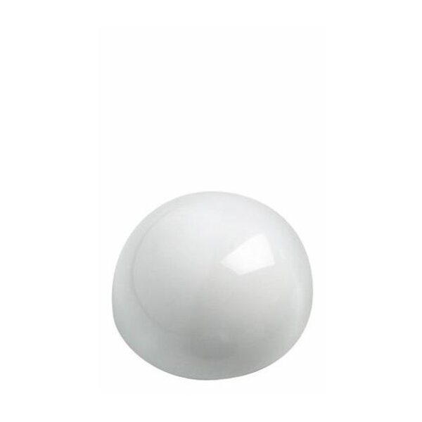 Boite de 10 Aimants hémisphér. 30mm puiss. 0,6kg Blanc MAUL