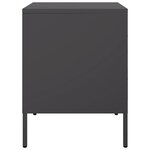 vidaXL Tables de chevet 2 Pièces noir 36x39x50 5 cm acier