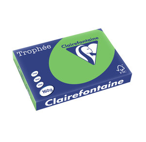 Ramette 250 Feuilles Papier 160g A3 420x297 mm Certifié FSC vert menthe CLAIREFONTAINE