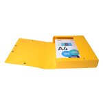 Boite De Classement Exabox Dos 60mm Carte Lustrée - A4 - Couleurs Assorties - X 8 - Exacompta